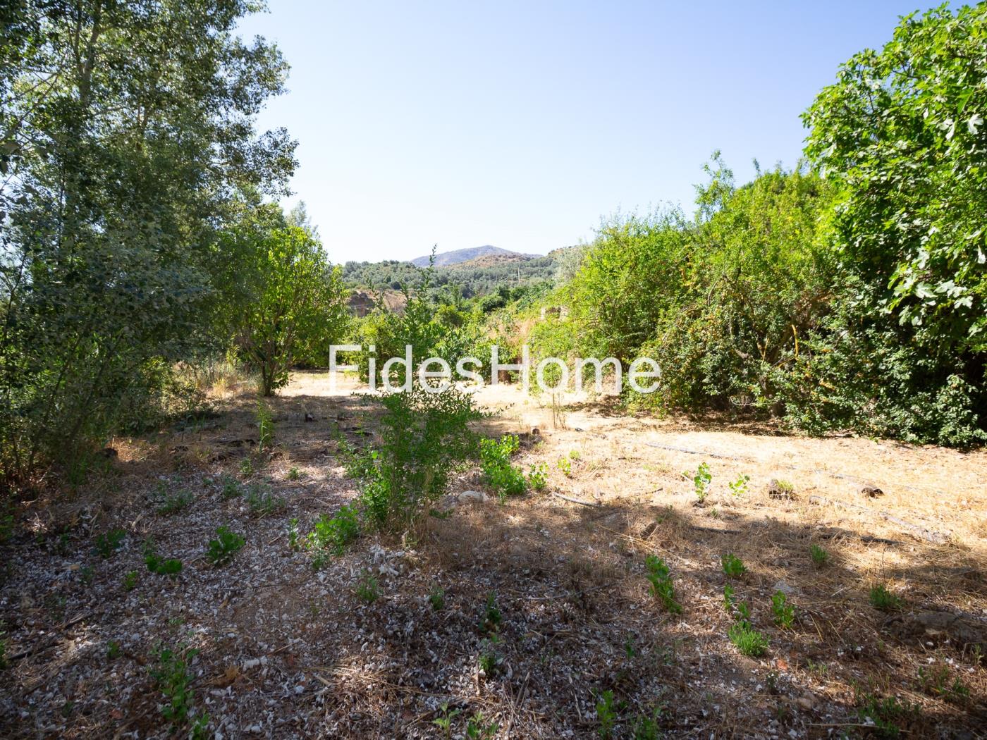 A charming rustic farmhouse with extensive grounds, salt pans and fruit trees in Saleres