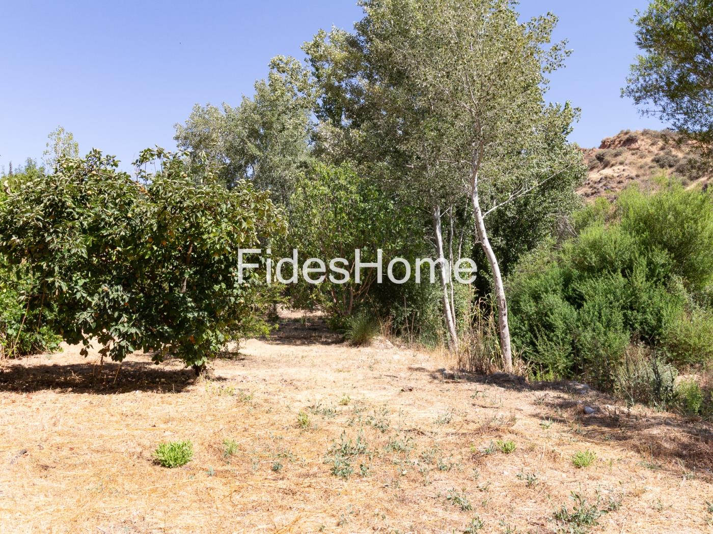 A charming rustic farmhouse with extensive grounds, salt pans and fruit trees in Saleres
