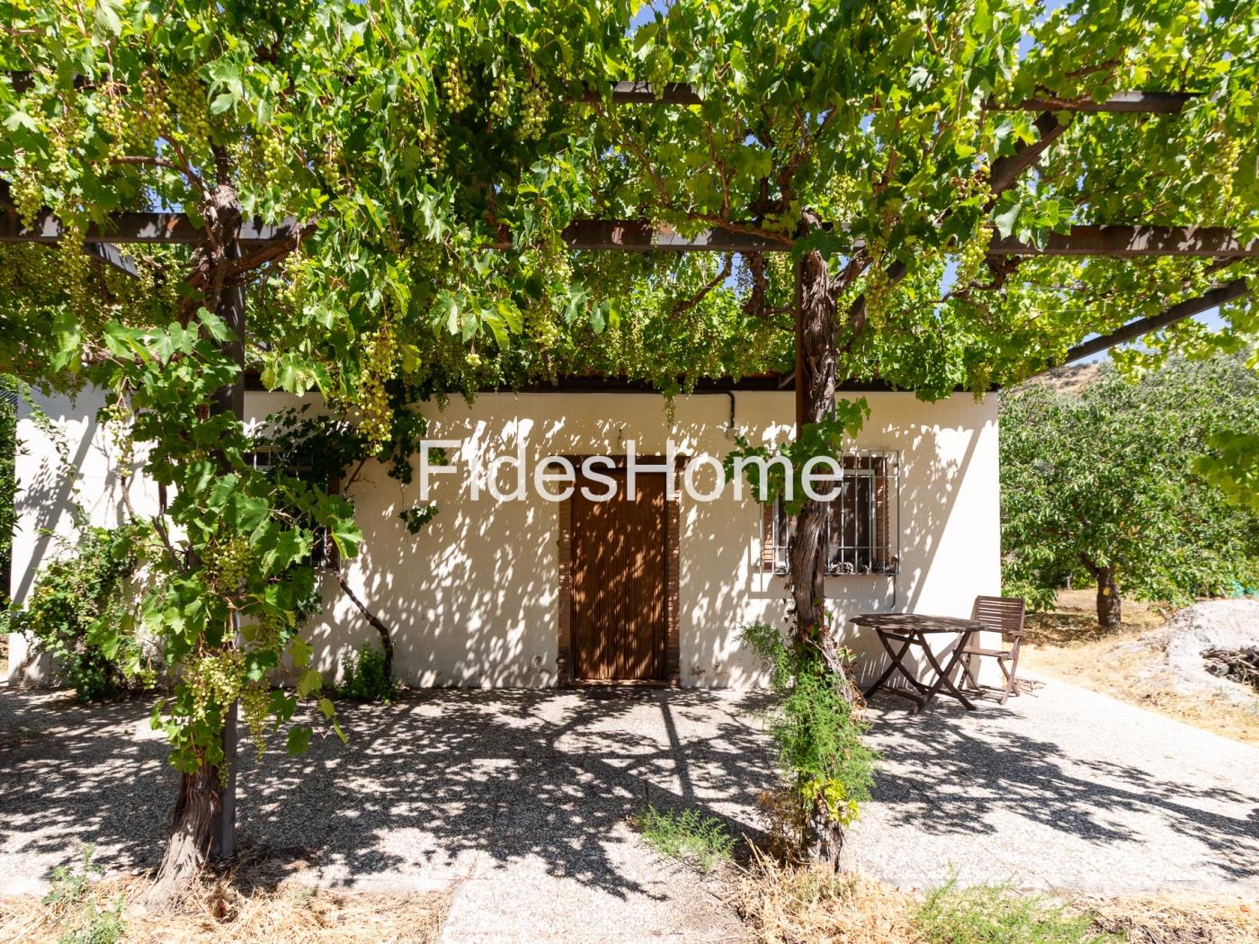A charming rustic farmhouse with extensive grounds, salt pans and fruit trees in Saleres