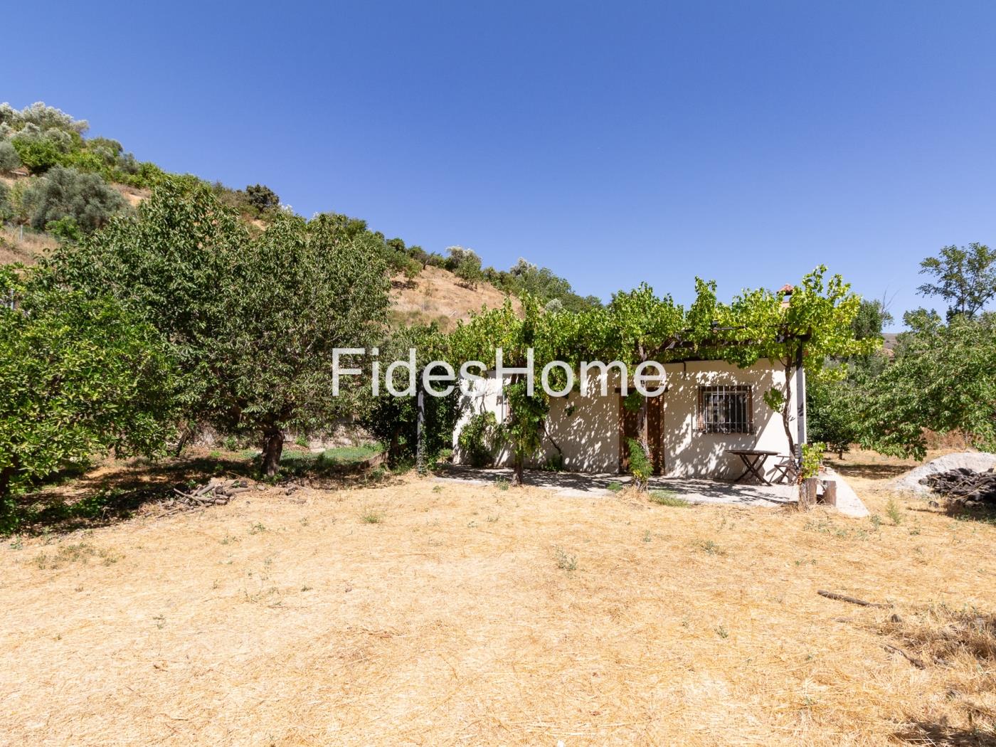 A charming rustic farmhouse with extensive grounds, salt pans and fruit trees in Saleres