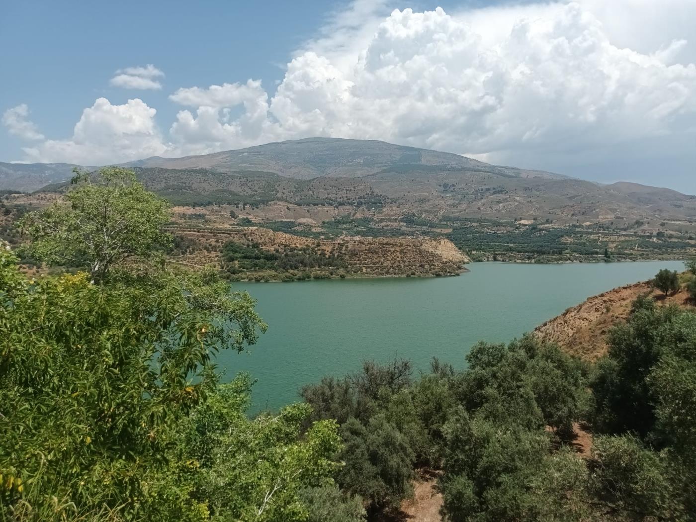 Magnificent set of three rustic plots in Pinos del Valle in Pinos del valle