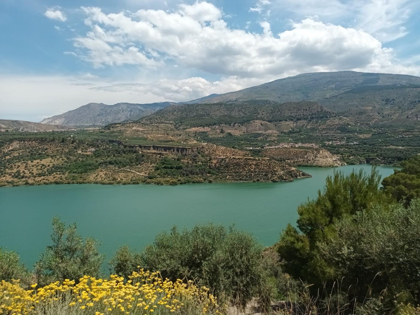 Magnificent set of three rustic plots in Pinos del Valle in Pinos del valle