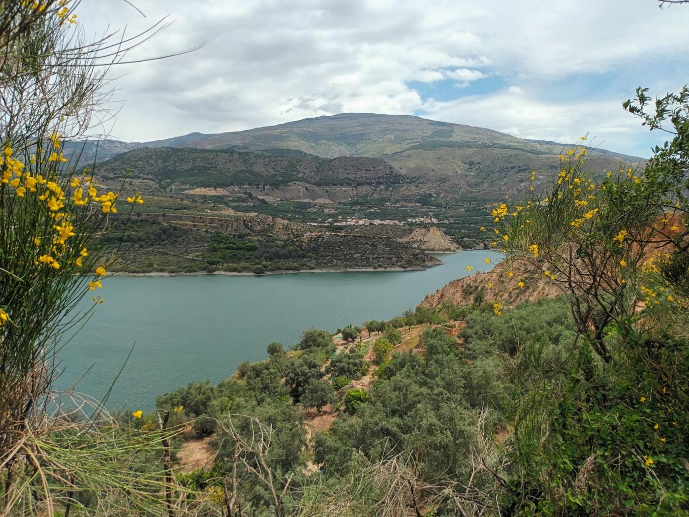 Magnificent set of three rustic plots in Pinos del Valle in Pinos del valle