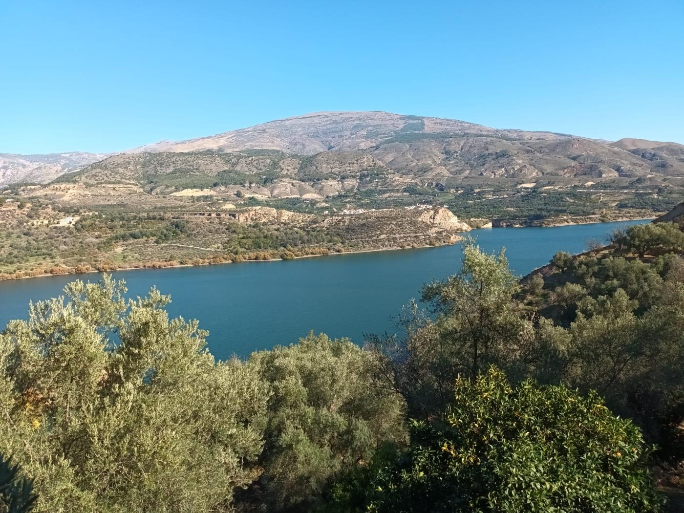 Magnificent set of three rustic plots in Pinos del Valle in Pinos del valle