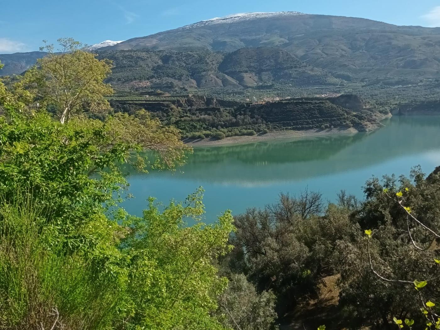 Magnificent set of three rustic plots in Pinos del Valle in Pinos del valle