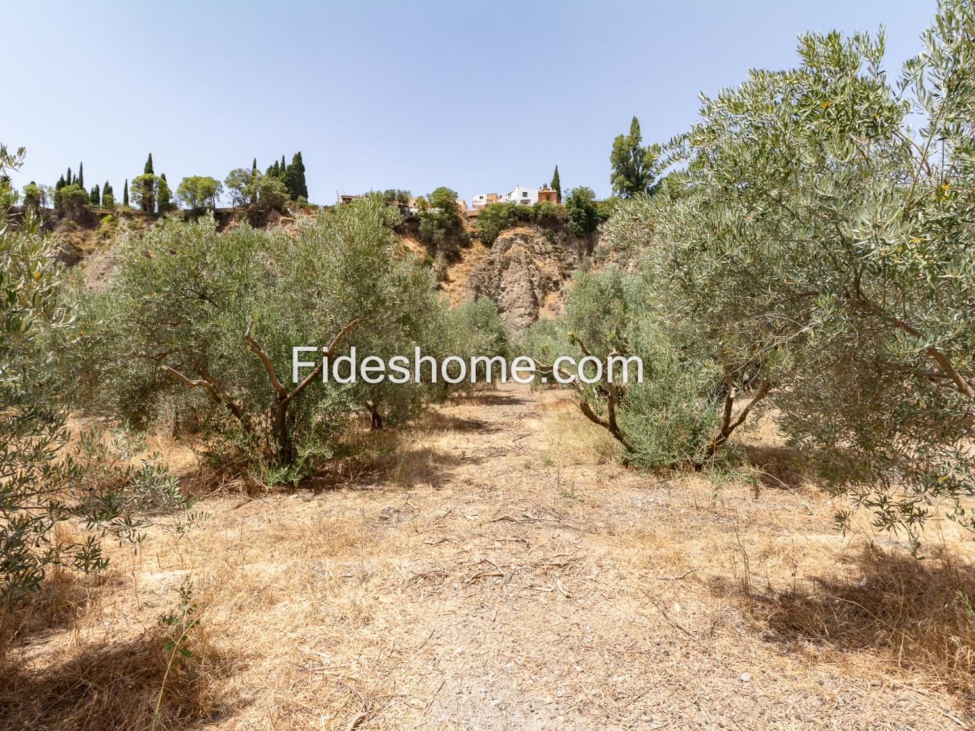 Finca rústica de riego con olivar en Acequias en Acequias