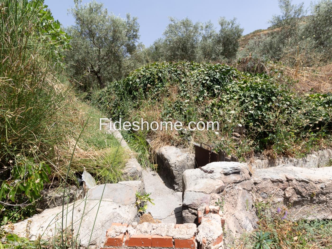 Finca rústica de riego con olivar en Acequias en Acequias