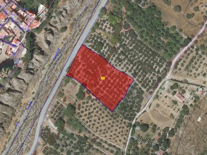 Finca rústica de riego con olivar en Acequias en Acequias