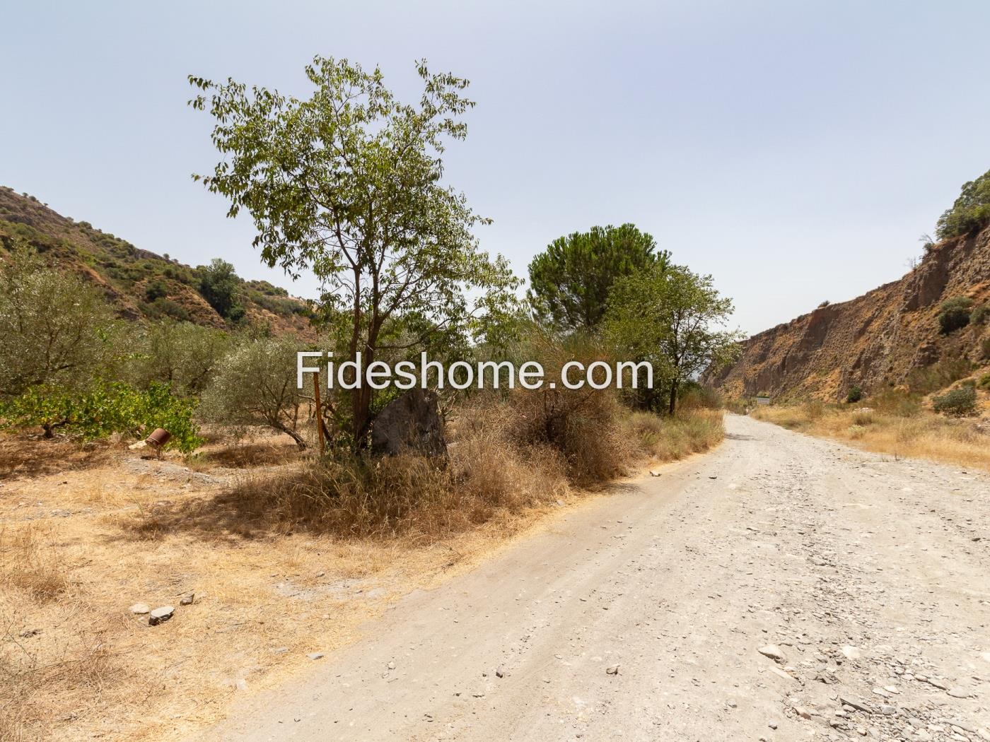 Finca rústica de riego con olivar en Acequias en Acequias