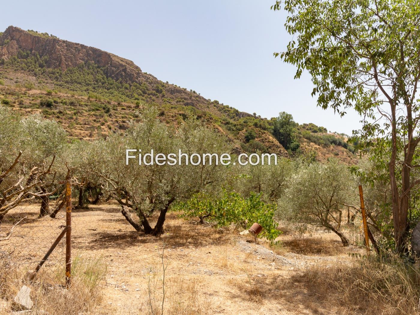 Finca rústica de riego con olivar en Acequias en Acequias
