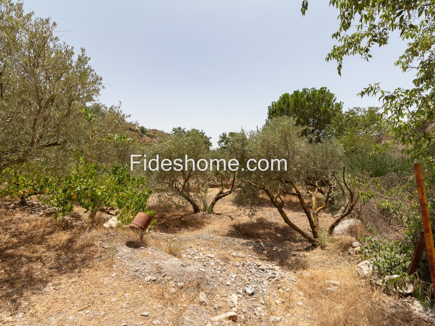 Finca rústica de riego con olivar en Acequias en Acequias