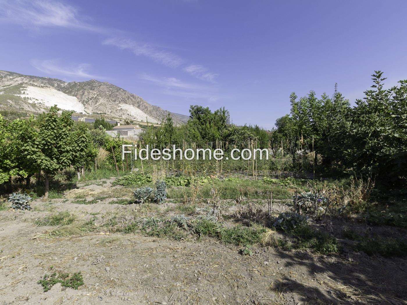 980 m² großes Landgrundstück in Dúrcal mit täglicher Bewässerung und guter Anbin in Dúrcal