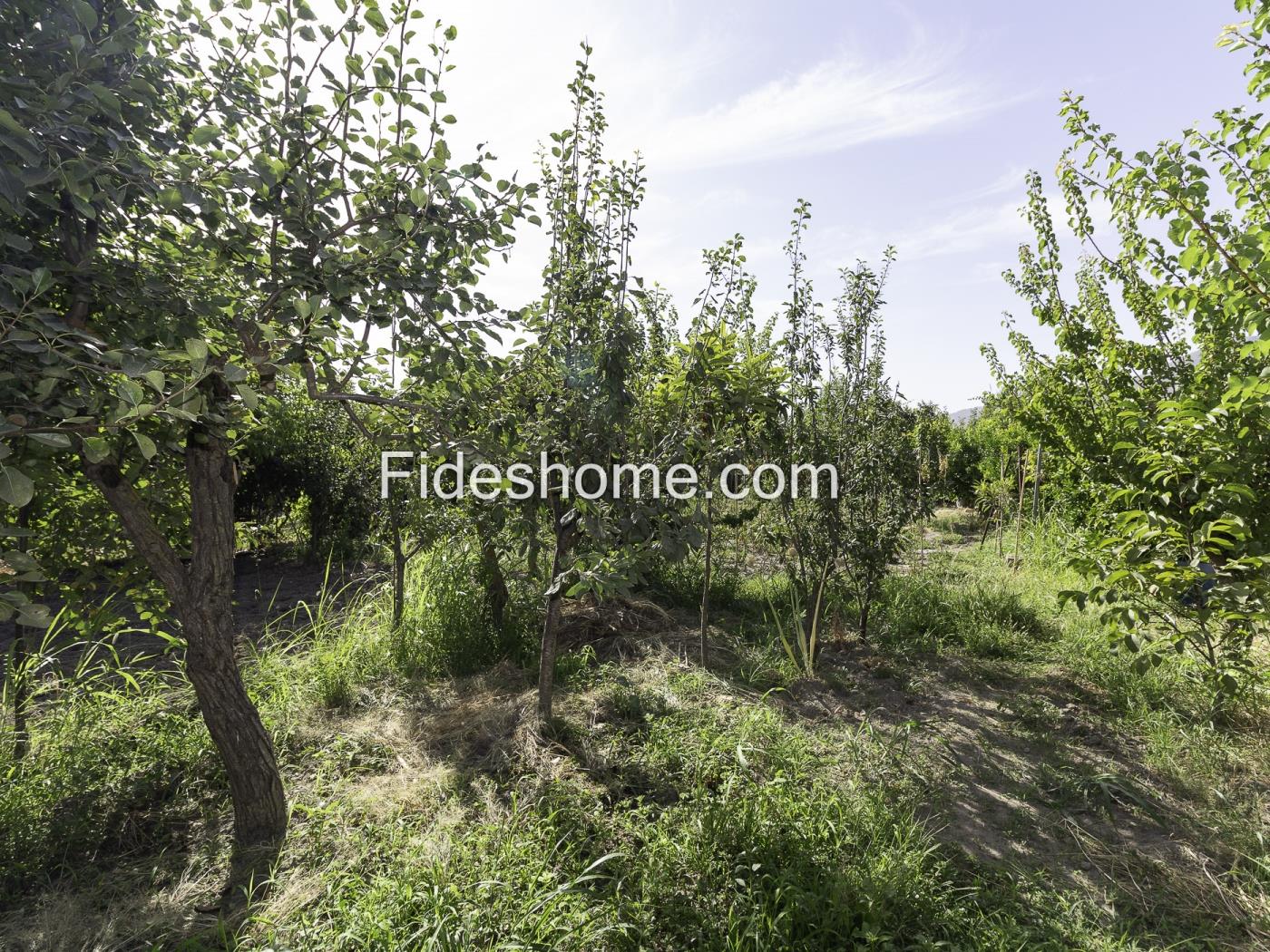 980 m² großes Landgrundstück in Dúrcal mit täglicher Bewässerung und guter Anbin in Dúrcal