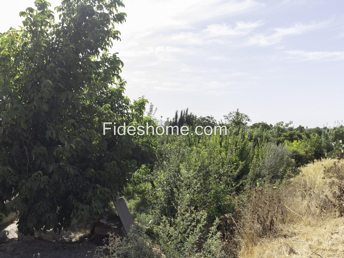 980 m² großes Landgrundstück in Dúrcal mit täglicher Bewässerung und guter Anbin in Dúrcal