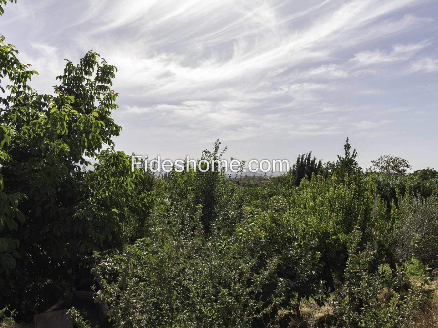 980 m² großes Landgrundstück in Dúrcal mit täglicher Bewässerung und guter Anbin in Dúrcal
