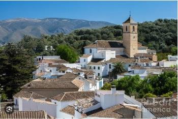 El Pinar
