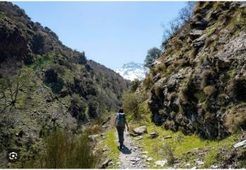 Nature, Hiking Trails, and Mountain Biking Routes